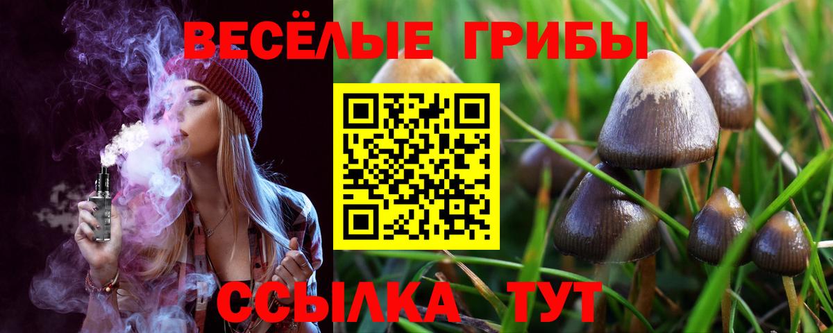 Галлюциногенные грибы мухоморы  Вход с VPN  Мурманск 